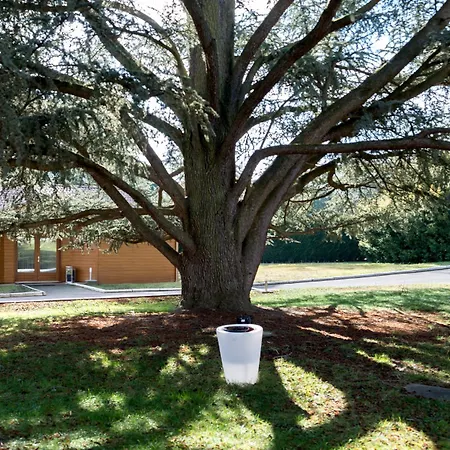 Logis Les Cedres Bleus 2*