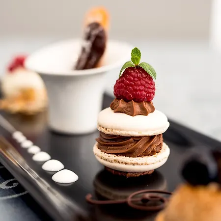 Logis Les Cedres Bleus 2* Aurec-Sur-Loire